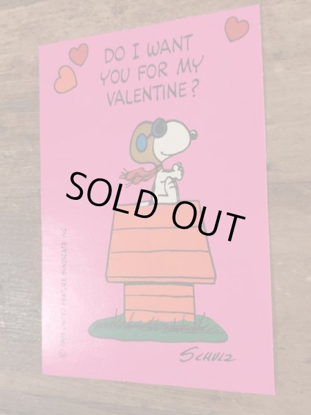 Hallmark Peanuts Snoopy “Do I Want...” Valentine Card スヌーピー