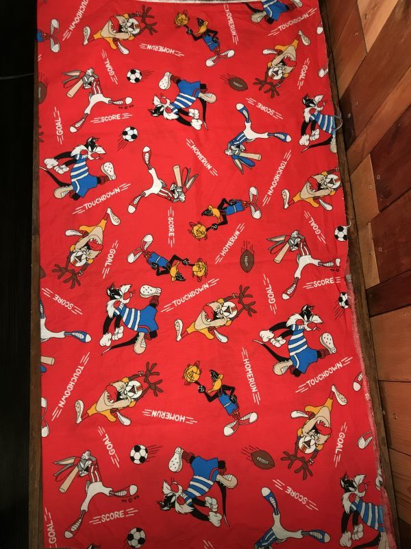 Warner Bros Looney Tunes Cloth ルーニーテューンズ ビンテージ